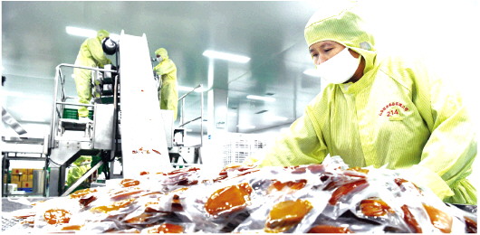 地瓜加工“煤改电”提档升级促增收  食品互联网销售开辟新通道