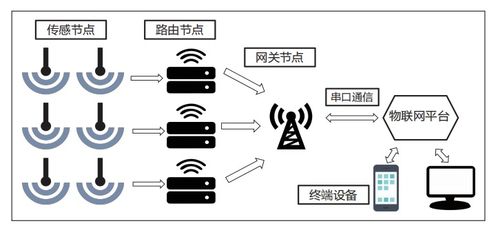 物联网与网络技术如何优化乘船体验